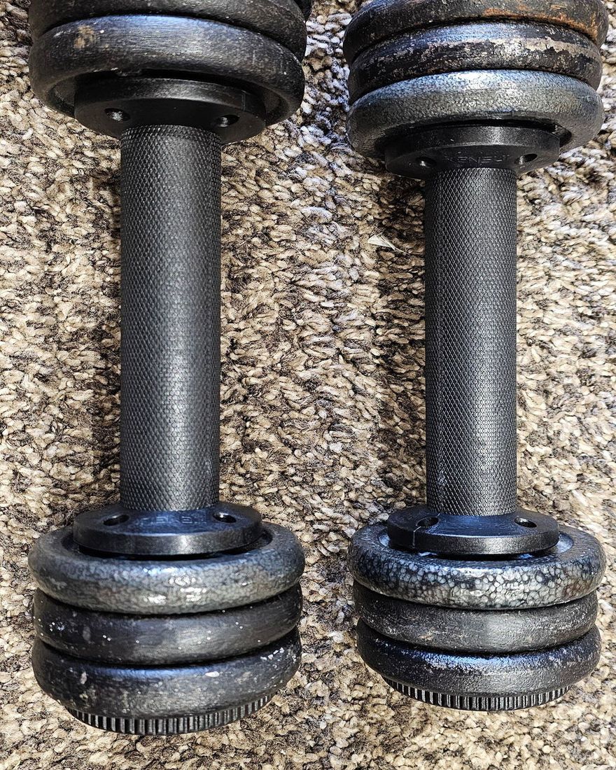 Two AdaptaBELL handles loaded with old, chipped cast-iron plates, photographed from above on a bedroom carpet.