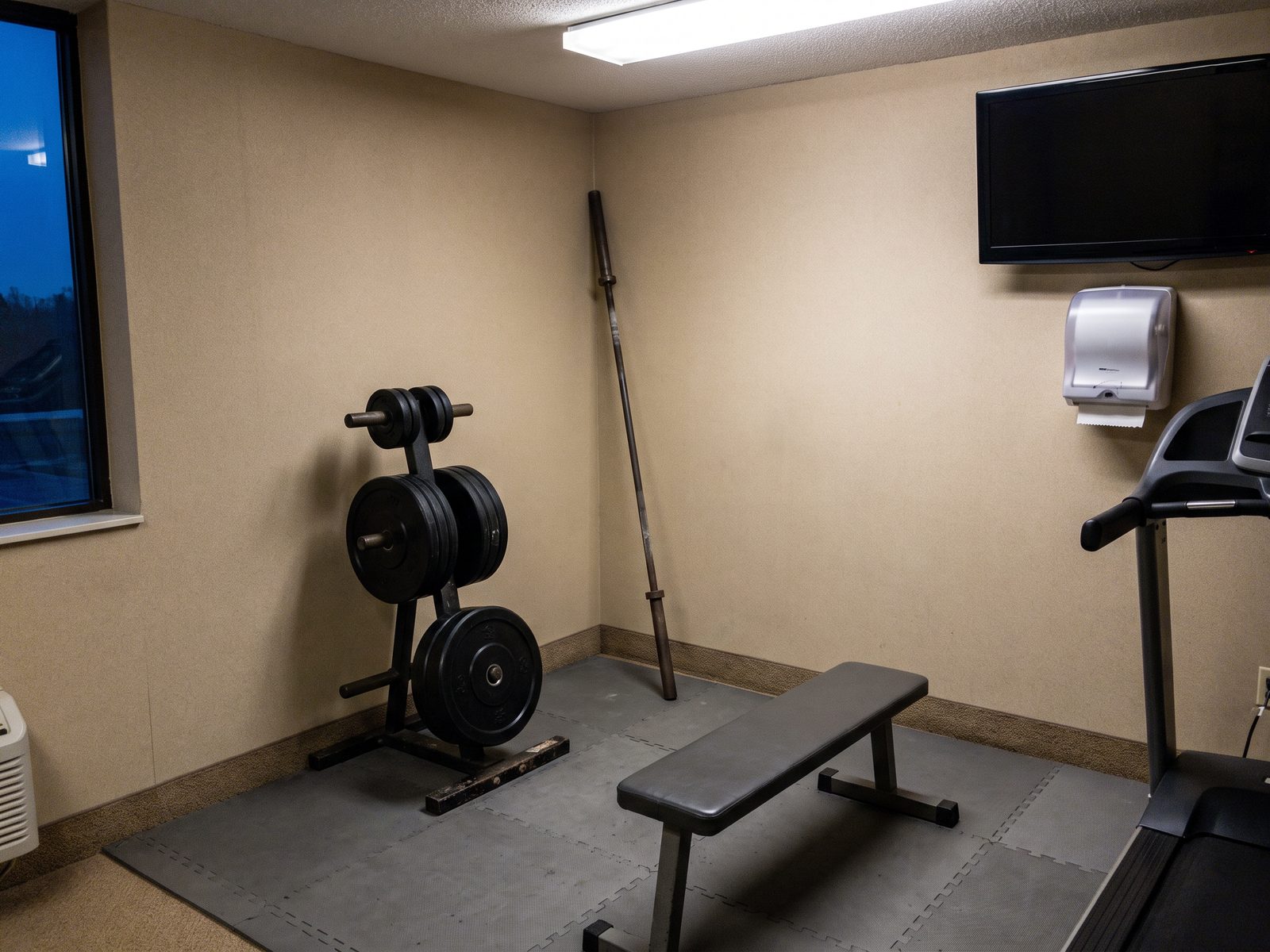 The corner of a small hotel fitness room with a plate tree holding black rubber Olympic plates and a bare barbell leaning beside it