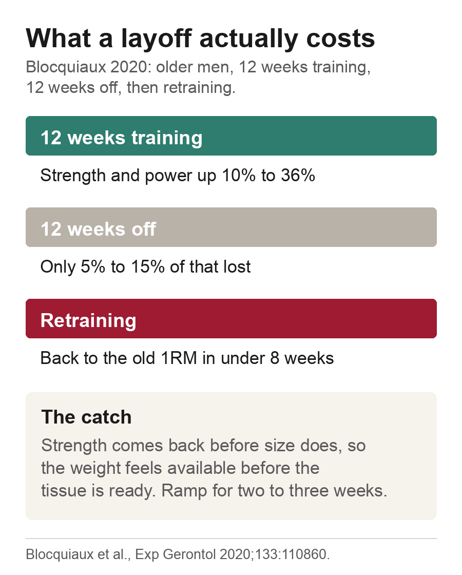 Timeline of a training block, twelve weeks off and retraining, showing most strength is kept and the old one-rep max returns in under eight weeks