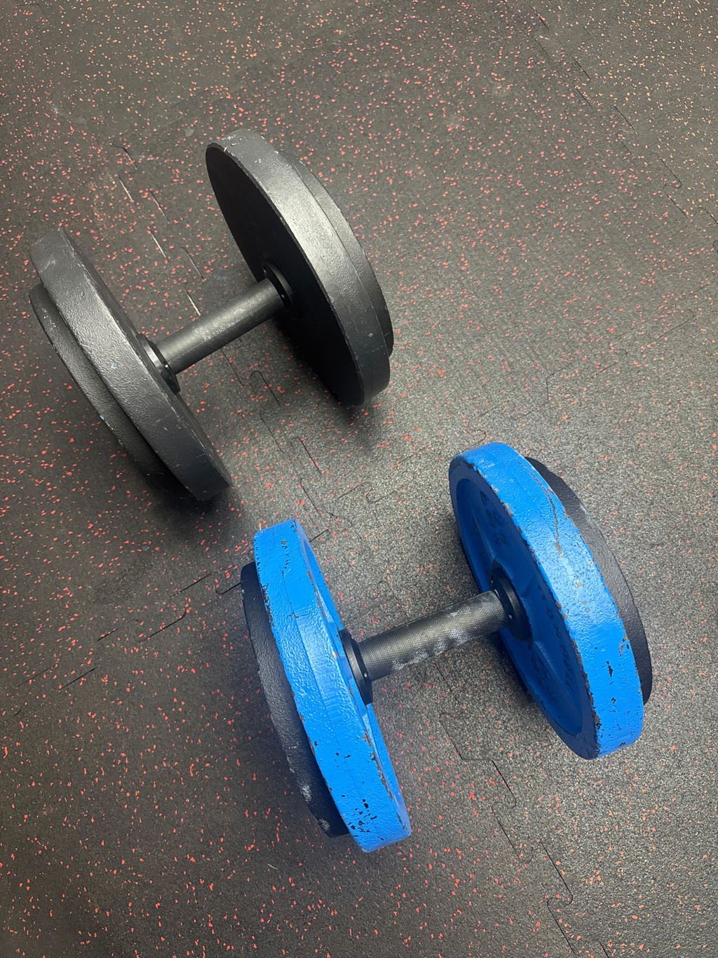 Two plate loaded dumbbell handles on a rubber gym floor, one carrying a large grey plate on each side and the other carrying blue plates
