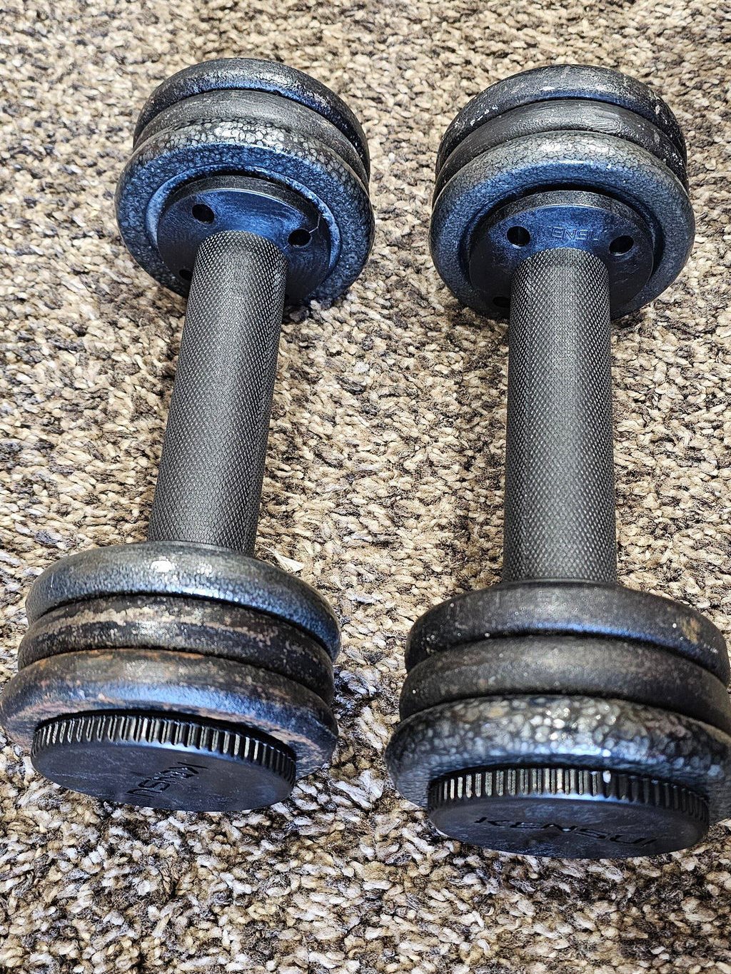 Two plate loaded dumbbell handles side by side on a carpet, loaded with cast iron plates