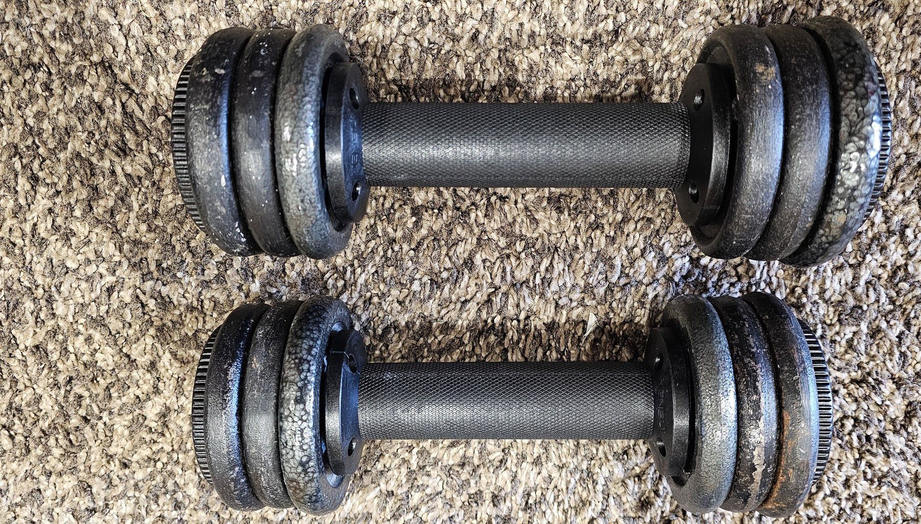 A pair of plate loaded dumbbell handles lying on a carpet, each loaded with the same cast iron plates
